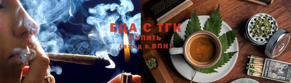 гашик Горняк
