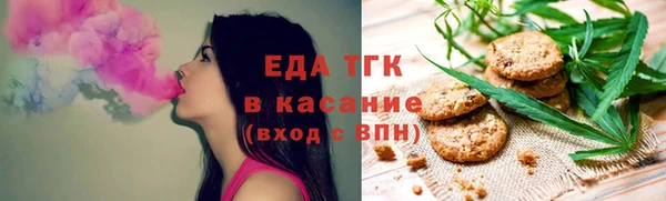 гашик Горняк