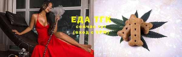 гашик Горняк