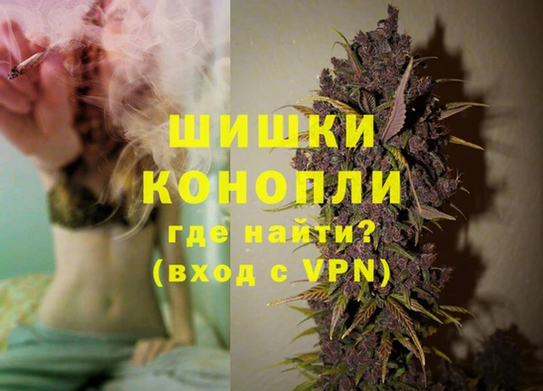 гидропоника Горнозаводск