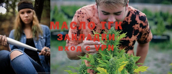 гашик Горняк