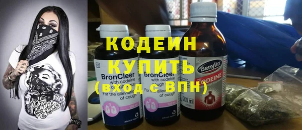 гашик Горняк