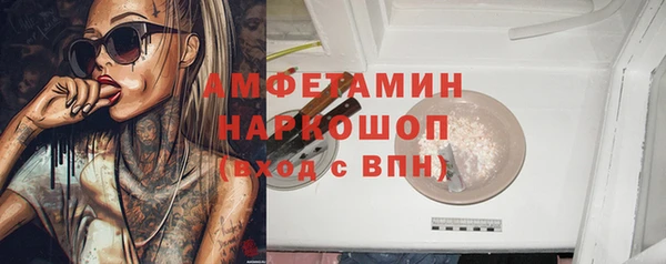 гашик Горняк
