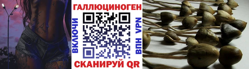 Купить  Касли  Псилоцибиновые грибы GOLDEN TEACHER 